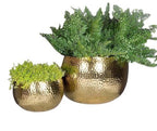 Handmade Brass Hammered Gold Plant Pots