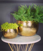 Handmade Brass Hammered Gold Plant Pots